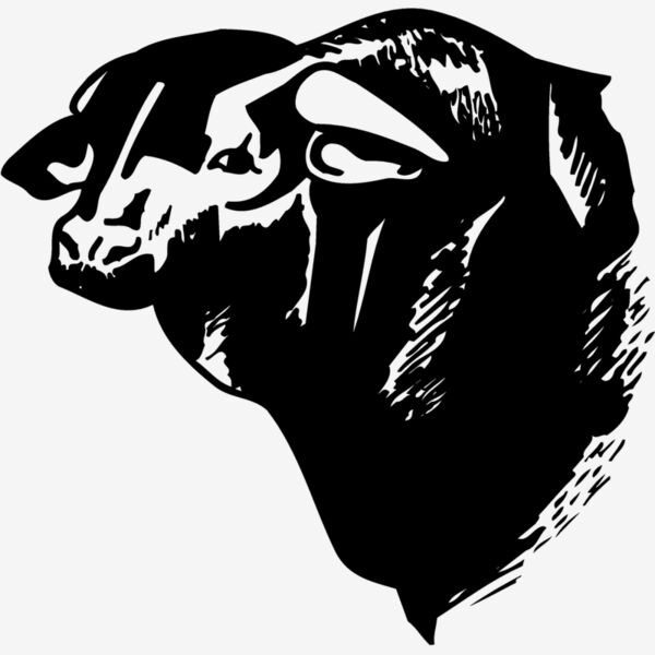 COW007 Thumbnail