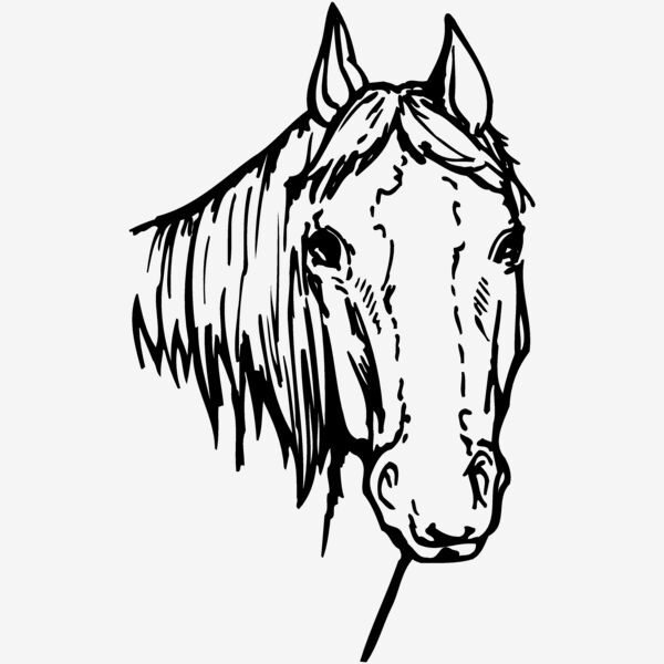 HORSE004 Thumbnail