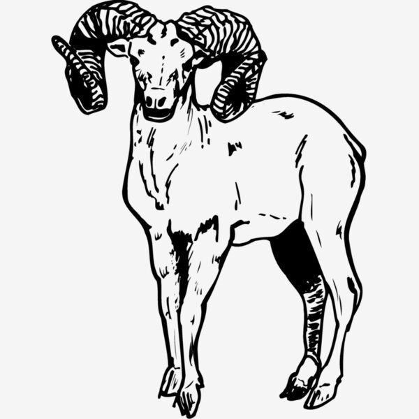 RAM006 Thumbnail