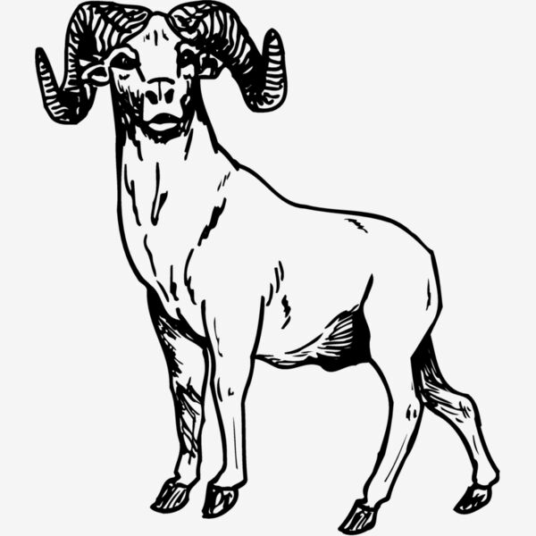 RAM009 Thumbnail
