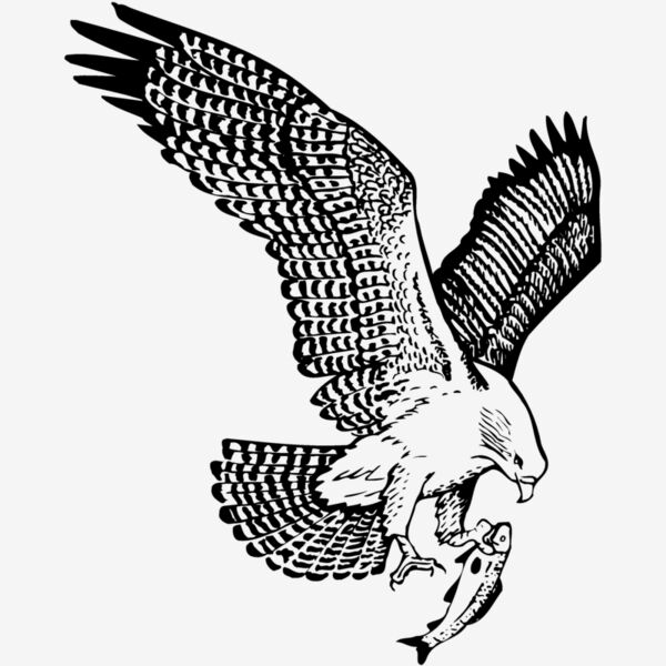 EAGLE022 Thumbnail