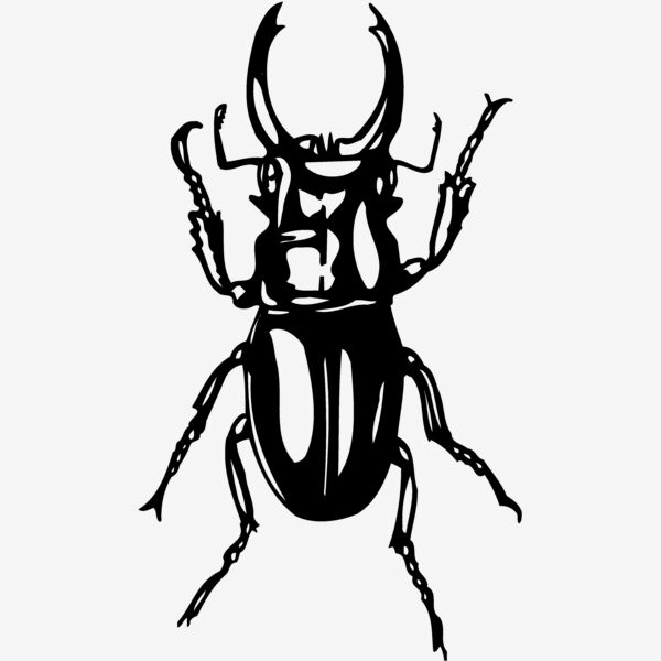 EARWIG Thumbnail