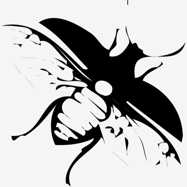 FLY03 Thumbnail