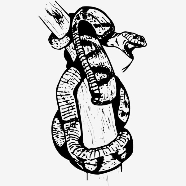 SNAKE004 Thumbnail