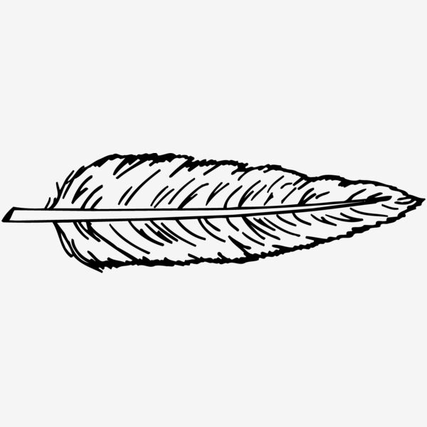 FEATHER Thumbnail