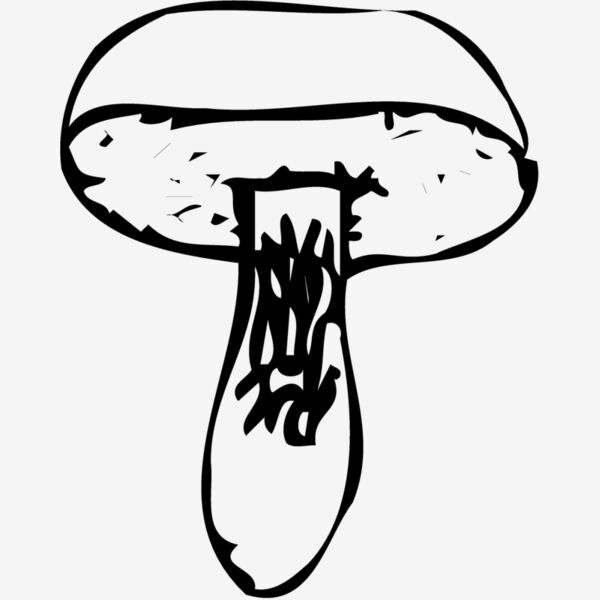 VEG028 Thumbnail