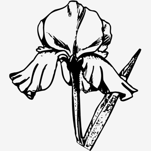 FLOWER11 Thumbnail