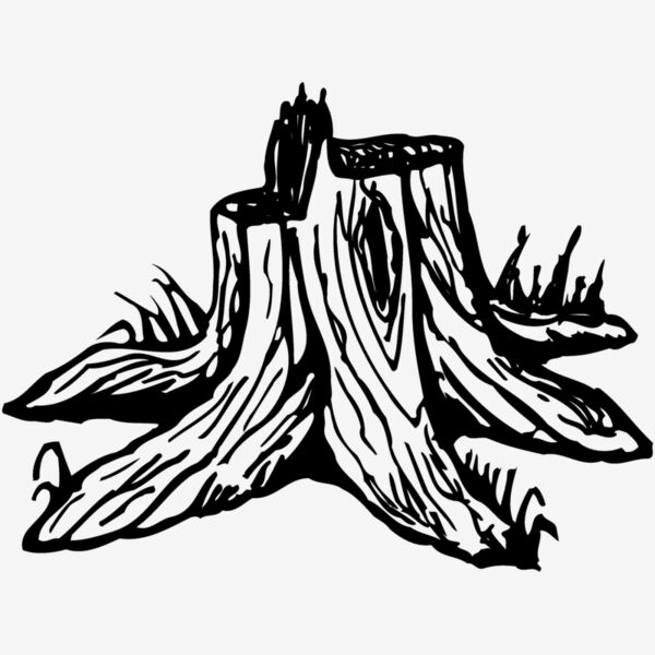 TIMBER09 Thumbnail