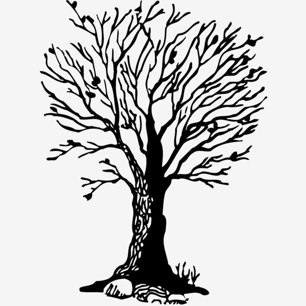 TREE0020 Thumbnail