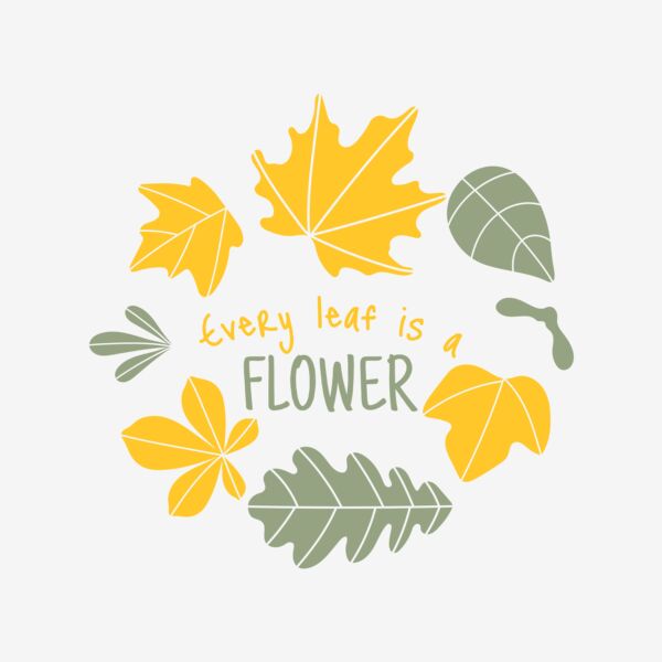 Fall Season 13 Thumbnail